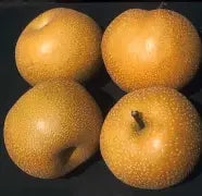 Hosui